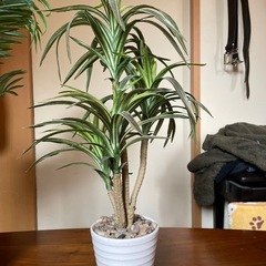 フェイク観葉植物2点の画像