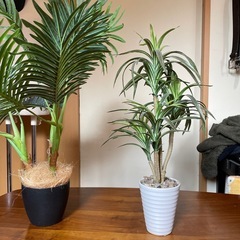 フェイク観葉植物2点の画像