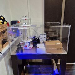 ​【引取限定】沖縄 海水魚・サンゴ天国へ！すぐ始められるオーバーフロー水槽セットの画像