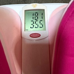 骨盤スリムホッパー の画像