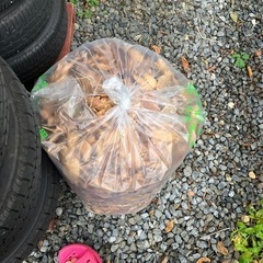 【京都】落ち葉　45リットルゴミ袋5つ分　の画像