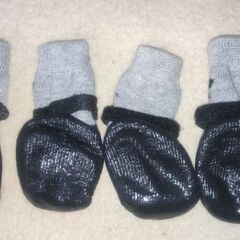 犬用 靴下の画像