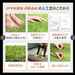 【新品未使用】人工芝 防草機能一体化 1×20m　芝丈38mmの画像