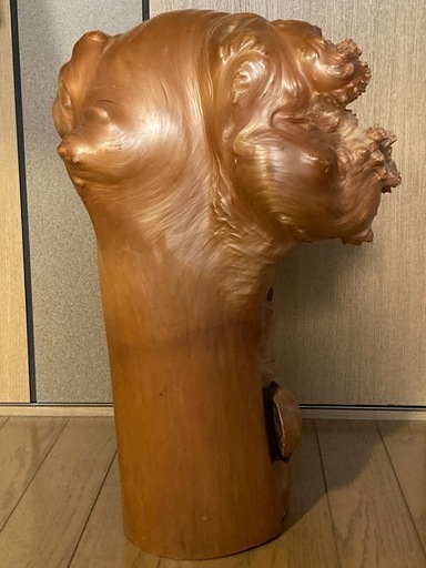 オブジェ　木の根　切り株