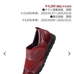 (20%offしました)大人のゆったりシューズ24.5cm   【値下げしました】の画像