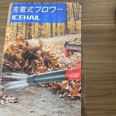 ✨️ブロワー コードレスの画像