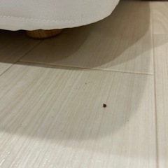 無印良品⭐︎脚付きマットレスの画像