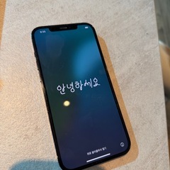 iPhone 12 Pro MAX本体　256GB ジャンク扱いの画像