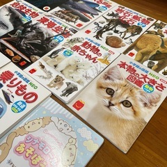 ハッピーセット図鑑11点の画像