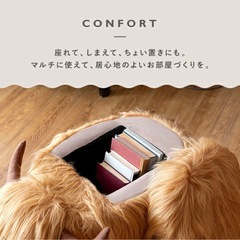 決定済みの画像