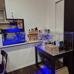 ​【引取限定】沖縄 海水魚・サンゴ天国へ！すぐ始められるオーバーフロー水槽セットの画像