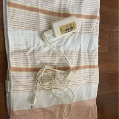 電気毛布下さいませんか？