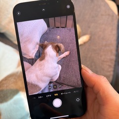 iPhone 12 Pro MAX本体　256GB ジャンク扱いの画像