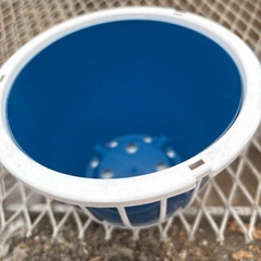 ガーデンの画像