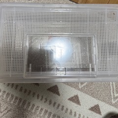 虫かご3点セットの画像