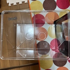 虫かご3点セットの画像