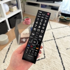 東芝REGZA19年製/Chromecast付きの画像