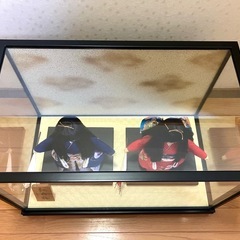 日本人形 稚見 雛人形 ペアガラスケース 紅白 梅 寿宝作 目立った傷や汚れなしの画像