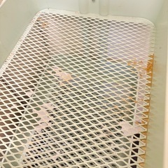 【無料であげます】早期取りに来れる方優先|イケアワゴンラック キッキンラック　の画像