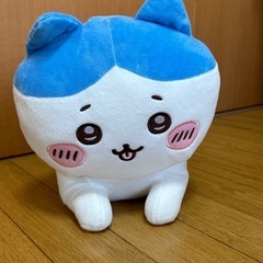 はちわれちゃんの画像