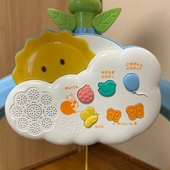 プーメリー
の画像