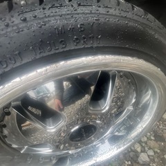 ユーロラインの画像