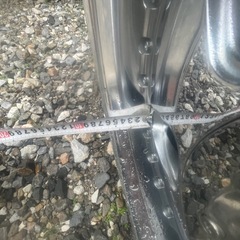 ユーロラインの画像