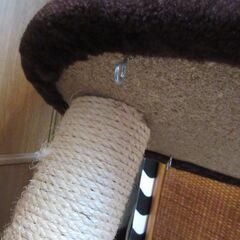 2【無料】キャットタワー2段、ミニの画像