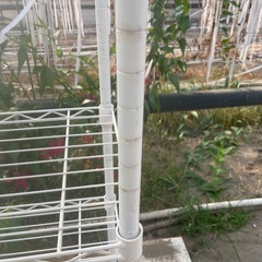 4段ラックの画像