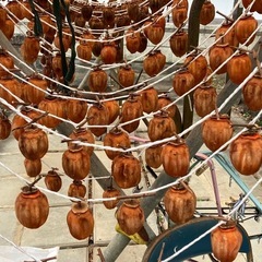 明日まで受付‼️干し柿‼️コロ柿‼️アンポ柿⁉️ 好きな呼び名で呼んで下されwの画像