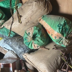 木屑早く来れる方の画像