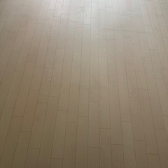 ほぼ新品カーペットホワイトの画像