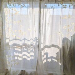 レーフ柄　おしゃれなレースカーテンの画像