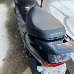 ホンダディオの画像