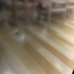 【トレファク ラパーク岸和田店】2023年製 Hisense 2ドア冷蔵庫　入荷しました【12ヶ月保証】の画像