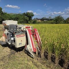 令和7年産ヒノヒカリ おすそ分け販売セット⑨の画像