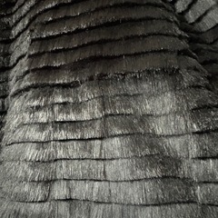 ラビットリバーシブルコート、定価39万未使用の画像