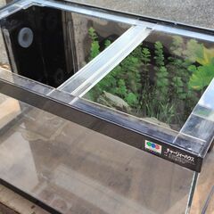【商談中】アクリル水槽セット(オーバーフロー可)の画像
