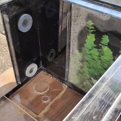 【商談中】アクリル水槽セット(オーバーフロー可)の画像