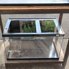 【商談中】アクリル水槽セット(オーバーフロー可)の画像