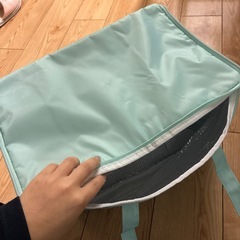 ハンギョドン 保冷バックの画像