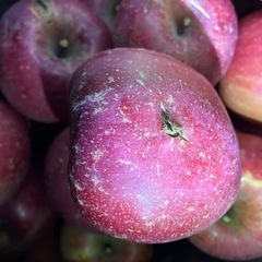 りんご5キロ　サンふじ　ヒビ割れありの画像