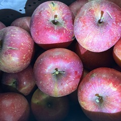 りんご5キロ　サンふじ　ヒビ割れありの画像
