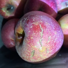 りんご5キロ　サンふじ　ヒビ割れありの画像