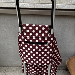 大きいショッピングカーの画像