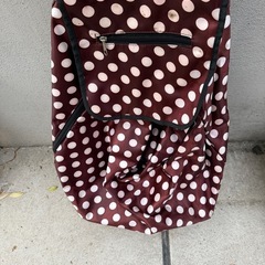 大きいショッピングカーの画像