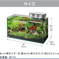 金魚･用具一式譲りますの画像