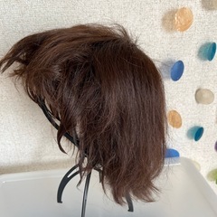 人毛100%ウィッグの画像