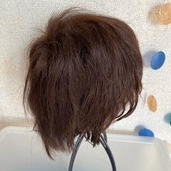 人毛100%ウィッグの画像