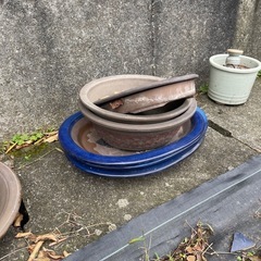 盆栽鉢の画像
